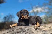 processed/1e3b1d4c-fd91-4d21-8f4d-f96ad5e3b4ce/listing/698370f8-3662-4cf1-b923-ce93224ed19a/6f52b059-7f9c-4364-b5f0-f4bf72eab777