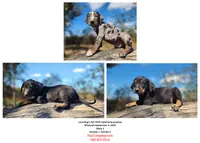 processed/1e3b1d4c-fd91-4d21-8f4d-f96ad5e3b4ce/listing/698370f8-3662-4cf1-b923-ce93224ed19a/76e91e1e-6eac-43e9-acdb-03f7e2286ba5