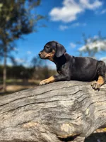 processed/1e3b1d4c-fd91-4d21-8f4d-f96ad5e3b4ce/listing/698370f8-3662-4cf1-b923-ce93224ed19a/7d2e54b0-47b4-44b0-88a9-8c12e5479840