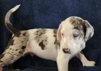 processed/1e3b1d4c-fd91-4d21-8f4d-f96ad5e3b4ce/listing/85b618f2-e1e9-4286-9aa6-9f2eb482ab3f/5d13ebb8-2fcc-416b-8fa9-2ff612afa20e