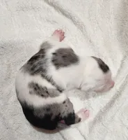 processed/1e3b1d4c-fd91-4d21-8f4d-f96ad5e3b4ce/listing/85b618f2-e1e9-4286-9aa6-9f2eb482ab3f/8d415077-218d-42a9-bf84-7bd9819bd17a