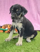 processed/1e3b1d4c-fd91-4d21-8f4d-f96ad5e3b4ce/listing/884e0bb1-6b75-4876-91d0-07c23bb24eb9/869bdc20-a036-4f10-9236-2044f4c4f3ce