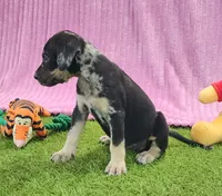 processed/1e3b1d4c-fd91-4d21-8f4d-f96ad5e3b4ce/listing/884e0bb1-6b75-4876-91d0-07c23bb24eb9/9b48aef0-b0bf-4e3b-8f12-e86734dc6e99