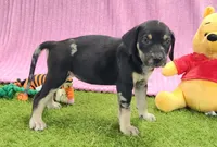 processed/1e3b1d4c-fd91-4d21-8f4d-f96ad5e3b4ce/listing/884e0bb1-6b75-4876-91d0-07c23bb24eb9/bf94b27a-0f85-4126-baa3-09d577e43cdc