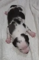 processed/1e3b1d4c-fd91-4d21-8f4d-f96ad5e3b4ce/listing/99e16e5d-ea9f-4460-8e06-699f6036ed12/1fca64c1-6377-43e7-8c28-f12a538a7db8