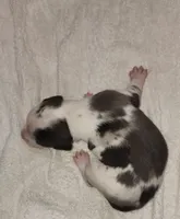 processed/1e3b1d4c-fd91-4d21-8f4d-f96ad5e3b4ce/listing/99e16e5d-ea9f-4460-8e06-699f6036ed12/4333ddd6-b648-4cc5-a86f-6b0a95fcf3e1