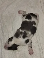 processed/1e3b1d4c-fd91-4d21-8f4d-f96ad5e3b4ce/listing/99e16e5d-ea9f-4460-8e06-699f6036ed12/d438710f-2dad-429c-93bb-a7d50219ab7b