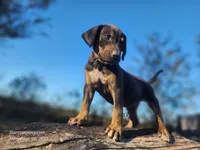 processed/1e3b1d4c-fd91-4d21-8f4d-f96ad5e3b4ce/listing/9c770dc2-c252-4232-a980-9527d6c1fade/dbcb9a4b-3560-412b-9925-f066dcfb330e