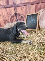 processed/1e3b1d4c-fd91-4d21-8f4d-f96ad5e3b4ce/listing/a891ef54-ed3a-4c12-b8f1-3e8a1ffc245d/31f907d1-9a99-4265-aae7-5ceb085334e8