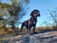 processed/1e3b1d4c-fd91-4d21-8f4d-f96ad5e3b4ce/listing/adf0fc40-7094-4482-b846-95d6a495e26c/7a044f8f-1ae2-47e9-b06c-4842313789ee