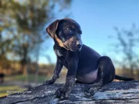 processed/1e3b1d4c-fd91-4d21-8f4d-f96ad5e3b4ce/listing/adf0fc40-7094-4482-b846-95d6a495e26c/a1352188-8de6-4bb7-8b4a-00ce2308c0b4