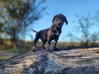 processed/1e3b1d4c-fd91-4d21-8f4d-f96ad5e3b4ce/listing/adf0fc40-7094-4482-b846-95d6a495e26c/f590a219-cde4-4b37-b3dc-02f1a44b1da4