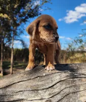 processed/1e3b1d4c-fd91-4d21-8f4d-f96ad5e3b4ce/listing/c4aa643d-6fe6-4520-b3f8-38b22b51cbef/188566cf-0481-4f1a-bbd6-50dee0e22455