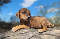 processed/1e3b1d4c-fd91-4d21-8f4d-f96ad5e3b4ce/listing/c4aa643d-6fe6-4520-b3f8-38b22b51cbef/4c065164-6dc8-48be-b708-30009cb92f17