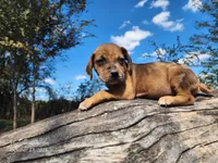 processed/1e3b1d4c-fd91-4d21-8f4d-f96ad5e3b4ce/listing/c4aa643d-6fe6-4520-b3f8-38b22b51cbef/a4666122-4db4-44af-9a22-61aabe3d74c0