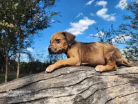 processed/1e3b1d4c-fd91-4d21-8f4d-f96ad5e3b4ce/listing/c4aa643d-6fe6-4520-b3f8-38b22b51cbef/a89133cc-59e3-49c1-9c67-534e37d66537