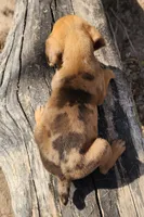 processed/1e3b1d4c-fd91-4d21-8f4d-f96ad5e3b4ce/listing/c4aa643d-6fe6-4520-b3f8-38b22b51cbef/ae1939f0-9798-4ed6-b8c2-f6fc839f8a5e