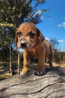 processed/1e3b1d4c-fd91-4d21-8f4d-f96ad5e3b4ce/listing/c4aa643d-6fe6-4520-b3f8-38b22b51cbef/ccae85fe-a7a9-4832-9ad7-134709904111