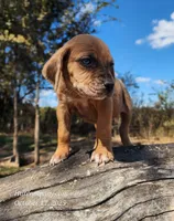 processed/1e3b1d4c-fd91-4d21-8f4d-f96ad5e3b4ce/listing/c4aa643d-6fe6-4520-b3f8-38b22b51cbef/e91609fc-193e-49db-b4bc-5b44afdf42b8