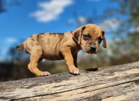 processed/1e3b1d4c-fd91-4d21-8f4d-f96ad5e3b4ce/listing/c4aa643d-6fe6-4520-b3f8-38b22b51cbef/fd4064e5-9813-499d-ac8b-e3911f819514