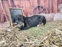 processed/1e3b1d4c-fd91-4d21-8f4d-f96ad5e3b4ce/listing/c5b33ae8-d7a2-411e-b976-617be2d39b75/148a40b8-d6d8-48c9-b04e-3d3146b86e71