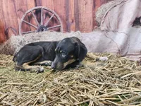 processed/1e3b1d4c-fd91-4d21-8f4d-f96ad5e3b4ce/listing/c5b33ae8-d7a2-411e-b976-617be2d39b75/34c2d59f-1e60-4d39-8353-458a05372efa