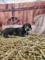 processed/1e3b1d4c-fd91-4d21-8f4d-f96ad5e3b4ce/listing/c5b33ae8-d7a2-411e-b976-617be2d39b75/4948797b-d597-4810-b033-f5983eee732f