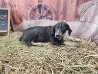 processed/1e3b1d4c-fd91-4d21-8f4d-f96ad5e3b4ce/listing/c5b33ae8-d7a2-411e-b976-617be2d39b75/67b4689a-6b65-46e4-8b64-b0672e6449f7