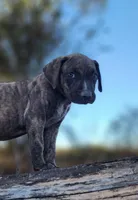 processed/1e3b1d4c-fd91-4d21-8f4d-f96ad5e3b4ce/listing/e63450c3-afcd-4802-8aff-15f5b26e24dd/ad47f183-1049-4b39-badf-658a2279d8f3