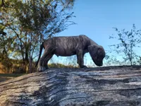 processed/1e3b1d4c-fd91-4d21-8f4d-f96ad5e3b4ce/listing/e63450c3-afcd-4802-8aff-15f5b26e24dd/af78592c-0618-4270-8c69-03e9ddff57de