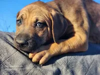 processed/1e3b1d4c-fd91-4d21-8f4d-f96ad5e3b4ce/listing/e702ed80-29b8-4017-88b0-7cfeb1a2e4a7/036e9ad7-dbd9-43ec-94e6-667b94304ab1