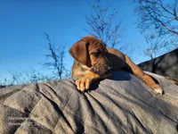 processed/1e3b1d4c-fd91-4d21-8f4d-f96ad5e3b4ce/listing/e702ed80-29b8-4017-88b0-7cfeb1a2e4a7/189d27ef-6d09-4987-bb63-b75968f09efd