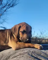 processed/1e3b1d4c-fd91-4d21-8f4d-f96ad5e3b4ce/listing/e702ed80-29b8-4017-88b0-7cfeb1a2e4a7/2661dfa9-05c1-4989-9d88-255a5da43dc5