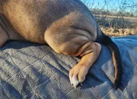 processed/1e3b1d4c-fd91-4d21-8f4d-f96ad5e3b4ce/listing/e702ed80-29b8-4017-88b0-7cfeb1a2e4a7/bc935354-9f85-423a-b298-362f0ed675fb