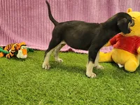 processed/1e3b1d4c-fd91-4d21-8f4d-f96ad5e3b4ce/listing/f1d35514-a9cf-49ed-8aab-abb4697f3357/42028baa-f66b-4937-8bd5-e60d7234c1d4