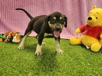 processed/1e3b1d4c-fd91-4d21-8f4d-f96ad5e3b4ce/listing/f1d35514-a9cf-49ed-8aab-abb4697f3357/424591ab-ef86-463b-82ca-bfeeee5e18e3