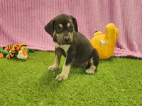 processed/1e3b1d4c-fd91-4d21-8f4d-f96ad5e3b4ce/listing/f1d35514-a9cf-49ed-8aab-abb4697f3357/4e3087a9-b7bb-4fff-a397-9da8ea0ee5f9