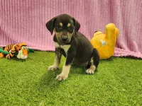 processed/1e3b1d4c-fd91-4d21-8f4d-f96ad5e3b4ce/listing/f1d35514-a9cf-49ed-8aab-abb4697f3357/5489d6f4-5f2c-4ffa-bd14-72185b1f2767