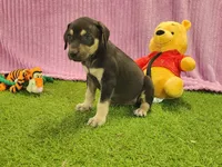 processed/1e3b1d4c-fd91-4d21-8f4d-f96ad5e3b4ce/listing/f1d35514-a9cf-49ed-8aab-abb4697f3357/91a1275f-719f-4600-aa42-6e8189af2342