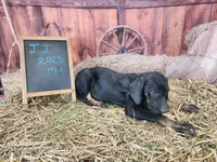 processed/1e3b1d4c-fd91-4d21-8f4d-f96ad5e3b4ce/listing/fb71841e-2405-4aa6-8dd1-a6d9454073ab/33b2a76a-2012-40c9-908a-8abed1da7fae