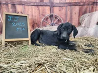 processed/1e3b1d4c-fd91-4d21-8f4d-f96ad5e3b4ce/listing/fb71841e-2405-4aa6-8dd1-a6d9454073ab/64e3b18f-128c-4c84-adc8-9035cd8cb5f1