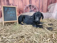 processed/1e3b1d4c-fd91-4d21-8f4d-f96ad5e3b4ce/listing/fb71841e-2405-4aa6-8dd1-a6d9454073ab/9e4f2c84-4398-4c9d-9143-2c701b94aa43