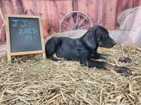 processed/1e3b1d4c-fd91-4d21-8f4d-f96ad5e3b4ce/listing/fb71841e-2405-4aa6-8dd1-a6d9454073ab/a2abe1ba-44a8-4bf3-8c79-cd7cdd1db2ab