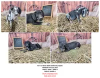 processed/1e3b1d4c-fd91-4d21-8f4d-f96ad5e3b4ce/listing/fb71841e-2405-4aa6-8dd1-a6d9454073ab/cecfa0d7-28a4-4738-a954-9b2ef1726326