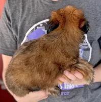 processed/1e3caf1a-694e-477d-96d8-6ff4e70ffc02/listing/0ae5433b-8bed-4c1e-b62f-4f26984cda7b/f63339cd-8ab5-4e42-be92-f92b824c6908