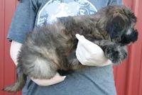 processed/1e3caf1a-694e-477d-96d8-6ff4e70ffc02/listing/133b9ed2-1256-4775-ae50-24edf2cbb0e3/14377861-aac6-4d72-a517-6aa8e1357a7c