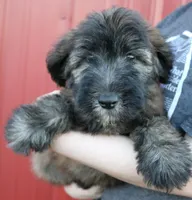 processed/1e3caf1a-694e-477d-96d8-6ff4e70ffc02/listing/133b9ed2-1256-4775-ae50-24edf2cbb0e3/6ca0d420-58d6-4f5e-8e5d-802ee1474c6f