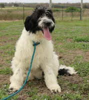 processed/1e3caf1a-694e-477d-96d8-6ff4e70ffc02/listing/1afd3ac4-d2bb-4a90-9f20-c82dedf4d45d/2941b107-aa34-4884-a2af-2f7c7b034191