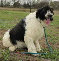 processed/1e3caf1a-694e-477d-96d8-6ff4e70ffc02/listing/1afd3ac4-d2bb-4a90-9f20-c82dedf4d45d/efdfa5ad-1c6c-4a70-b52e-c46f8f21cf3f