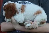 processed/1e3caf1a-694e-477d-96d8-6ff4e70ffc02/listing/29c9ac19-4485-4f13-9462-e7e9f816abdf/6d75d6cb-44fc-4d19-916c-45c252e86ba9